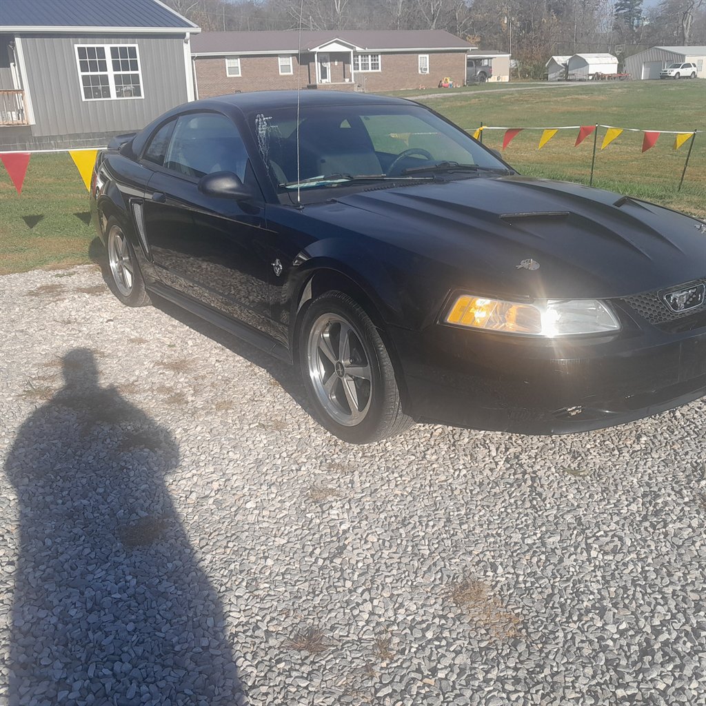 1999 Ford Mustang Base's photo